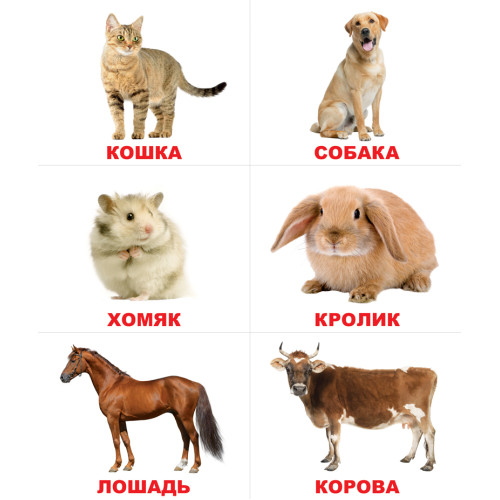 Игра «Лото. Животные» 