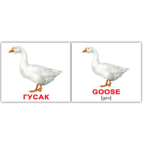 Міні картки україно-англійські "Свійські тварини/Domestic animals", картки для дітей, розвиваючі картки