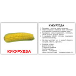 Міні картки україно-англійські "Овочі/Vegetables", навчальні картки для дітей, англійська для дітей Міні картки україно-англійські "Овочі/Vegetables", навчальні картки для дітей, англійська для дітей