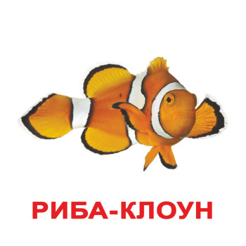 Большие украинские карточки "Обитатели водоемов", учебные карточки Домана,  развивающие карточки для детей, картинки для занятий (ламинация)