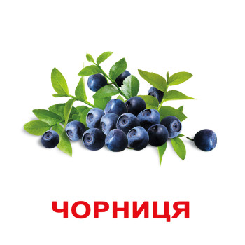 Ламіновані картки "Ягоди", навчальні картки, картки Домана, картки для дітей, розвиваючі картки Ламіновані картки "Ягоди", навчальні картки, картки Домана, картки для дітей, розвиваючі картки