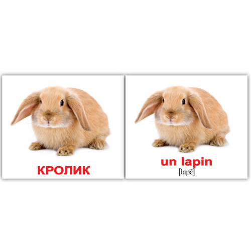 Мини русско-французские "Домашние животные/Les animaux domestiques" +