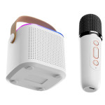 Дитяче караоке з 2 мікрофонами, караоке для дітей, bluetooth, type-c, TF-картка, регуляція гучності CE72965