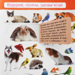 Книга фотовіммельбух "Тварини. Відкрий, полічи, запам'ятай" (укр.)