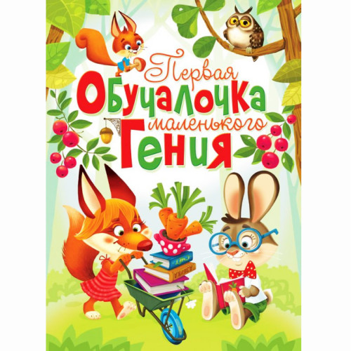 Перша обучалочка маленького генія