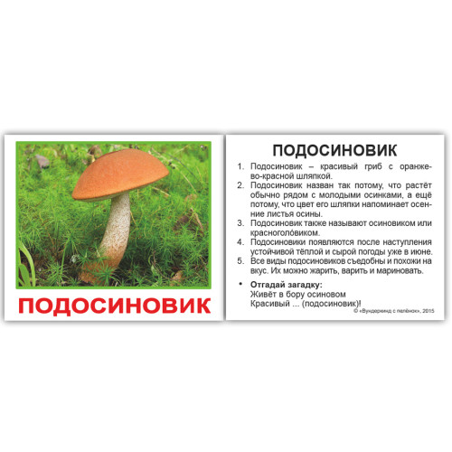 Міні російські "Грибы" Міні російські "Грибы"