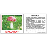 Міні російські "Грибы" Міні російські "Грибы"
