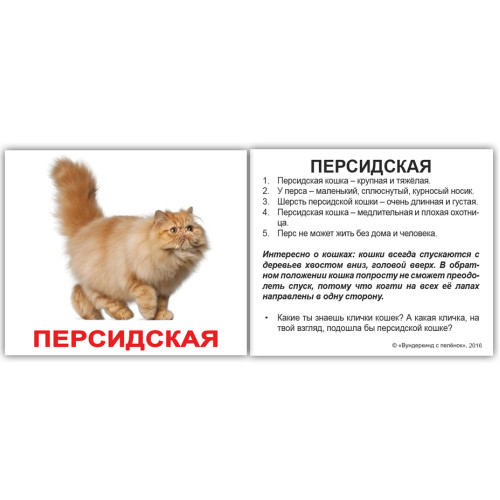 Міні російські "Породы кошек с фактами" Міні російські "Породы кошек с фактами"