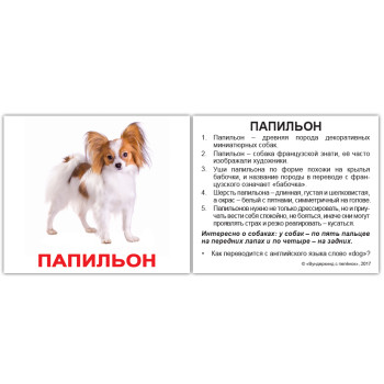 Міні російські "Породы собак с фактами" Міні російські "Породы собак с фактами"