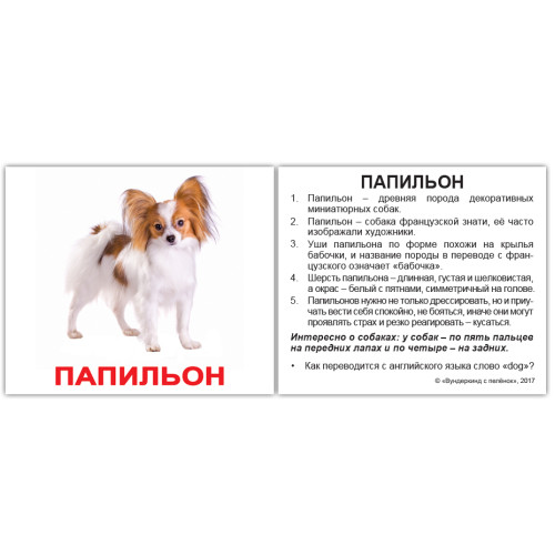 Міні російські "Породы собак с фактами" Міні російські "Породы собак с фактами"