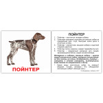 Міні російські "Породы собак с фактами" Міні російські "Породы собак с фактами"