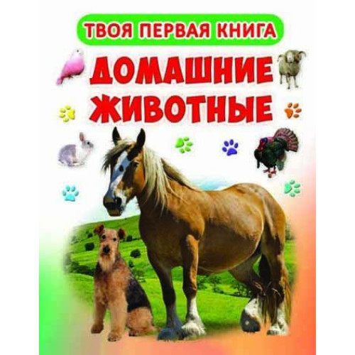 Твоя перша книга "Домашние животные"