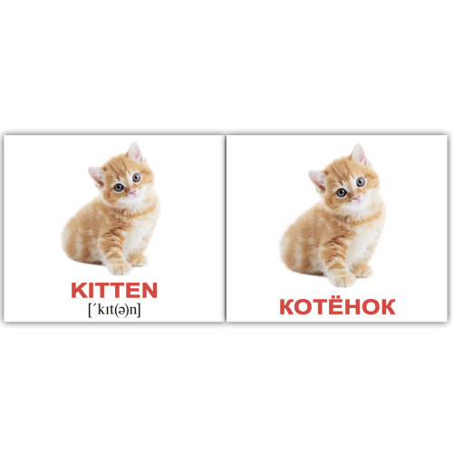 Міні російсько-англійські "Домашние животные/Domestic animals" Міні російсько-англійські "Домашние животные/Domestic animals"