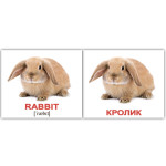 Міні російсько-англійські "Домашние животные/Domestic animals" Міні російсько-англійські "Домашние животные/Domestic animals"