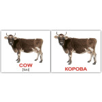Міні російсько-англійські "Домашние животные/Domestic animals" Міні російсько-англійські "Домашние животные/Domestic animals"