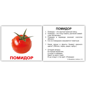Міні російсько-англійські "Овощи/Vegetables" Міні російсько-англійські "Овощи/Vegetables"