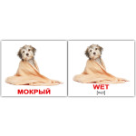 Міні російсько-англійські "Прилагательные/Adjectives" Міні російсько-англійські "Прилагательные/Adjectives"