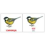 Міні російсько-англійські "Птицы/Birds" 