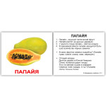 Міні російсько-англійські "Фрукты/Fruit" Міні російсько-англійські "Фрукты/Fruit"
