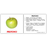 Міні російсько-англійські "Фрукты/Fruit" Міні російсько-англійські "Фрукты/Fruit"