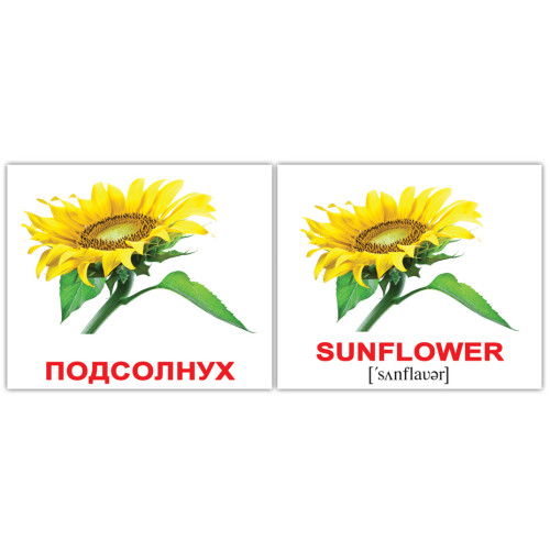 Мини русско-английские "Flowers/Цветы" +