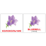 Мини русско-английские "Flowers/Цветы" +
